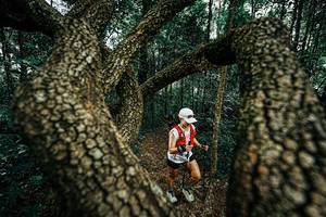 BIB: 
                            <button type="button" onclick="openModal(25393996)" class="btn btn-primary btn-sm float-right btn-popup" data-toggle="modal" data-target=".modal-high-quality">
                        <i class="fas fa-shopping-cart"></i> Add to Cart
                    </button>
                                            <button type="button" onclick="isThisMe(25393996, true)" class="btn btn-success btn-sm float-right btn-popup btn-isme hidden" data-toggle="tooltip" data-placement="bottom" title="นี่คือรูปของคุณใช่ไหม คลิกที่นี่เพื่อเอาเข้าอัลบั้ม">
                        <i class="fas fa-plus"></i> Add to album
                    </button>
                    <button type="button" onclick="isThisMe(25393996, false)" class="btn btn-warning btn-sm float-right btn-popup btn-isnotme hidden">
                        <i class="fas fa-ban"></i> Remove from album
                    </button>